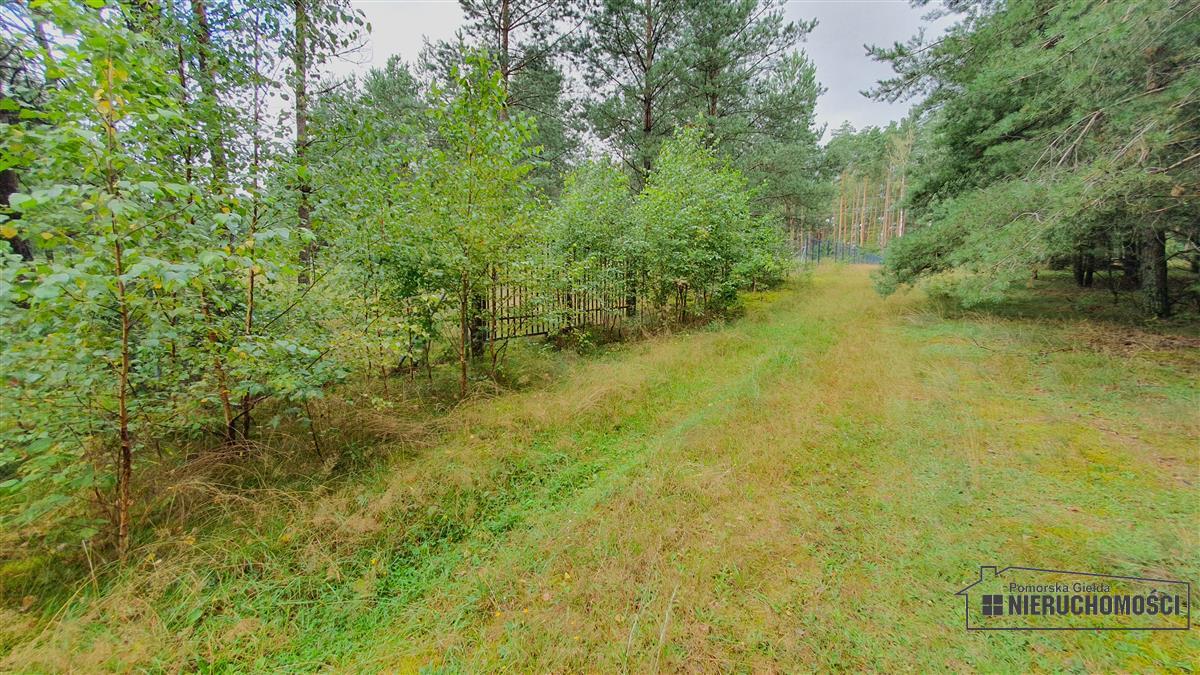 Sprzedaż Działka budowlana Trzmielewo