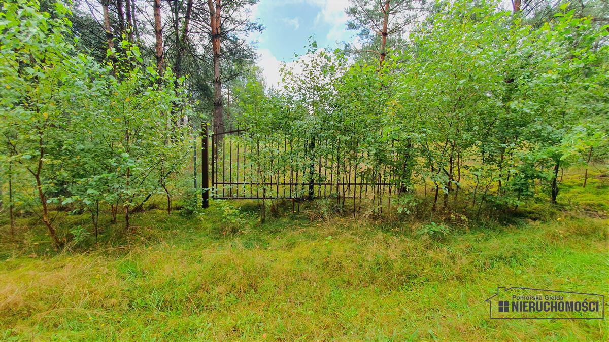 Sprzedaż Działka budowlana Trzmielewo