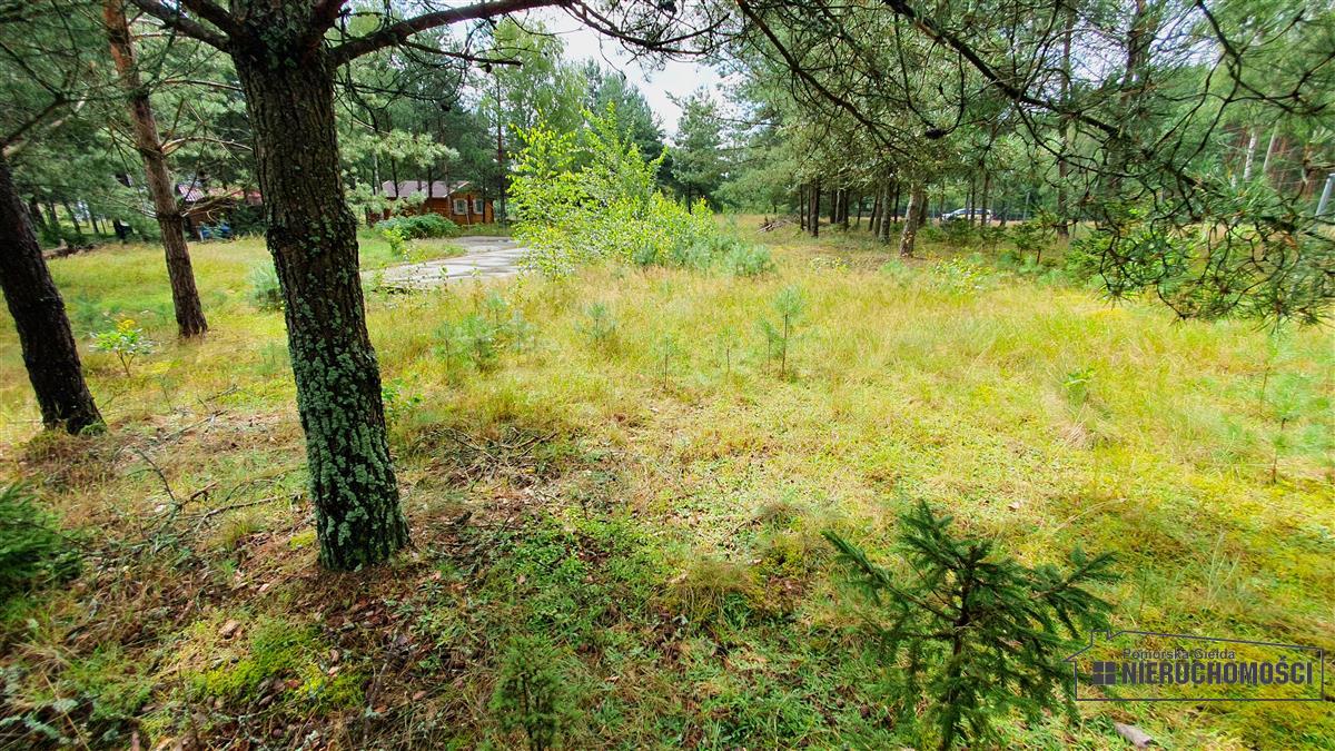 Sprzedaż Działka budowlana Trzmielewo