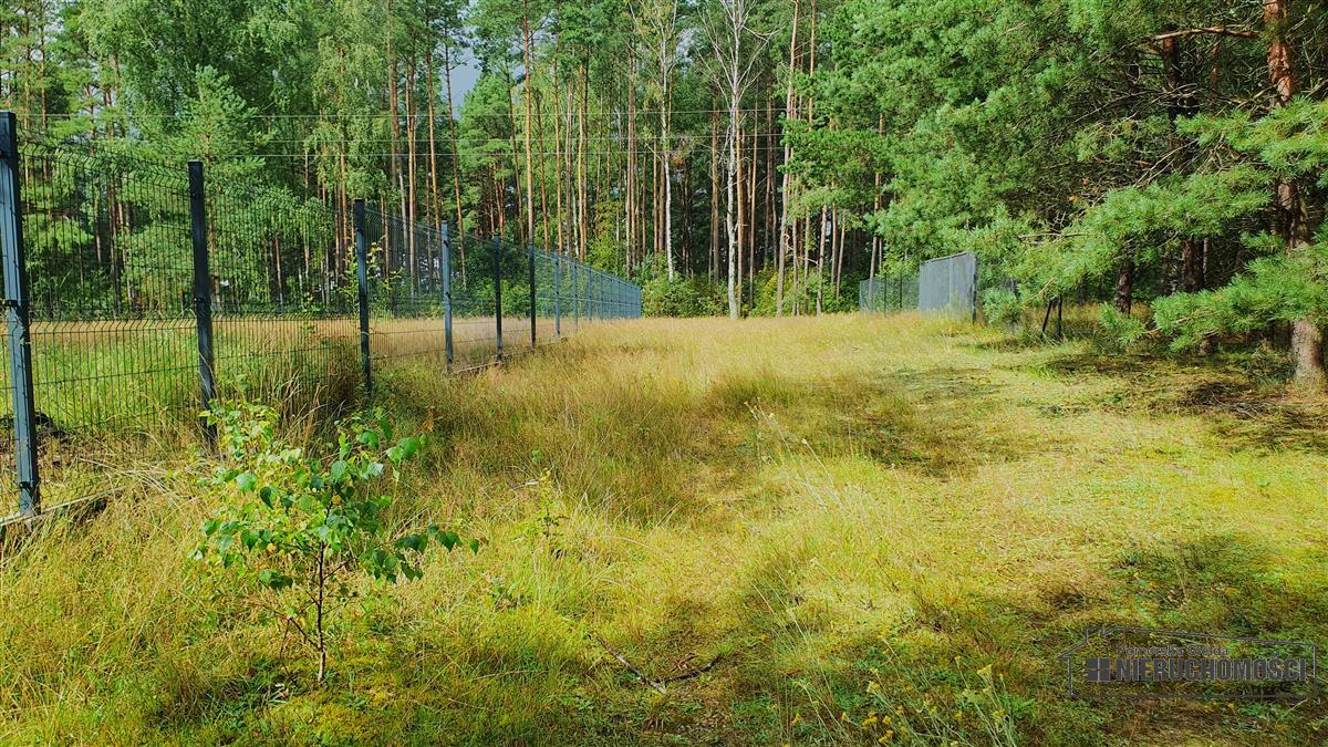 Sprzedaż Działka budowlana Trzmielewo