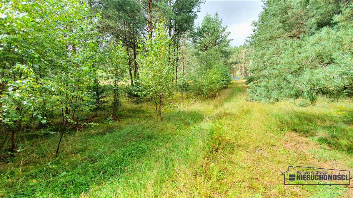 Sprzedaż Działka budowlana Trzmielewo