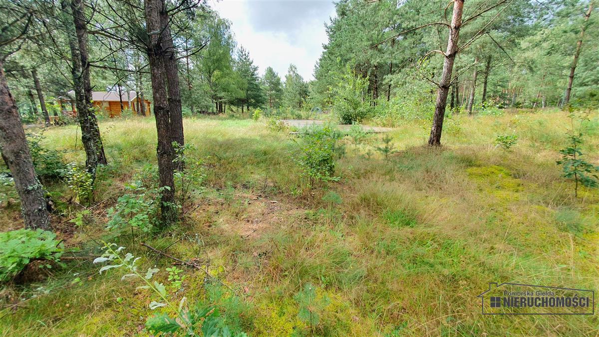 Sprzedaż Działka budowlana Trzmielewo