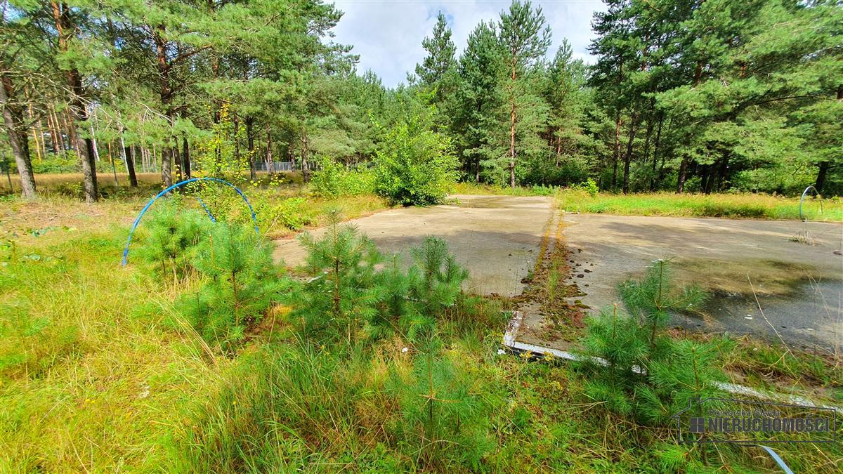 Sprzedaż Działka budowlana Trzmielewo