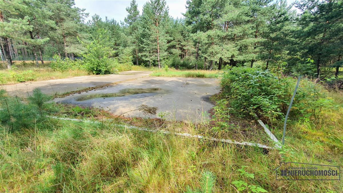 Sprzedaż Działka budowlana Trzmielewo