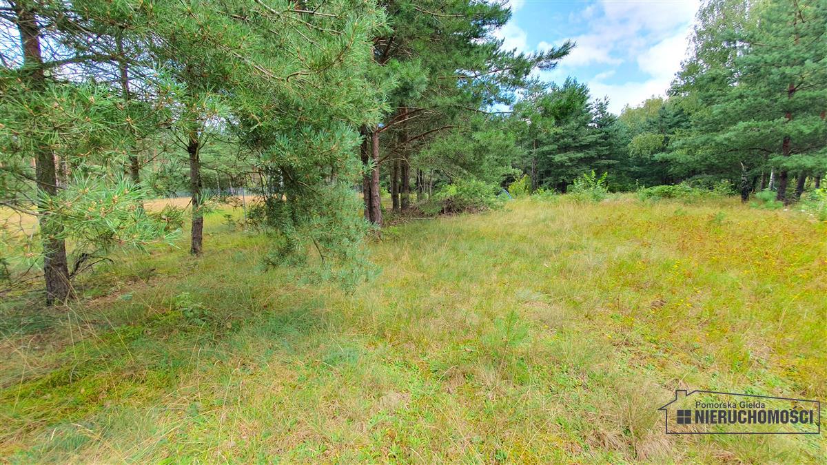 Sprzedaż Działka budowlana Trzmielewo