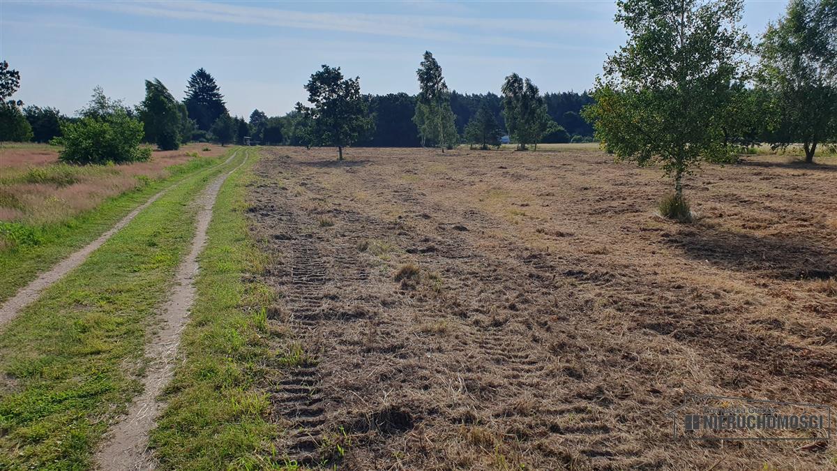 Sprzedaż Działka budowlana Nosówko