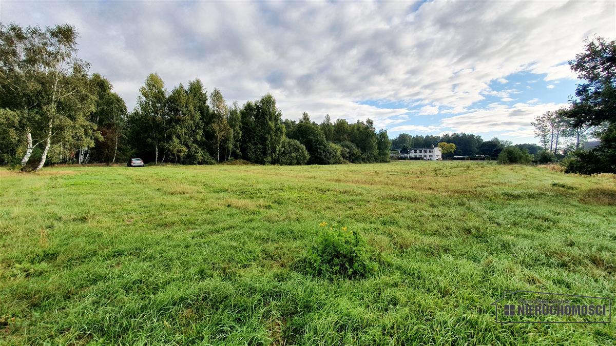 Sprzedaż Działka budowlana Kościernica