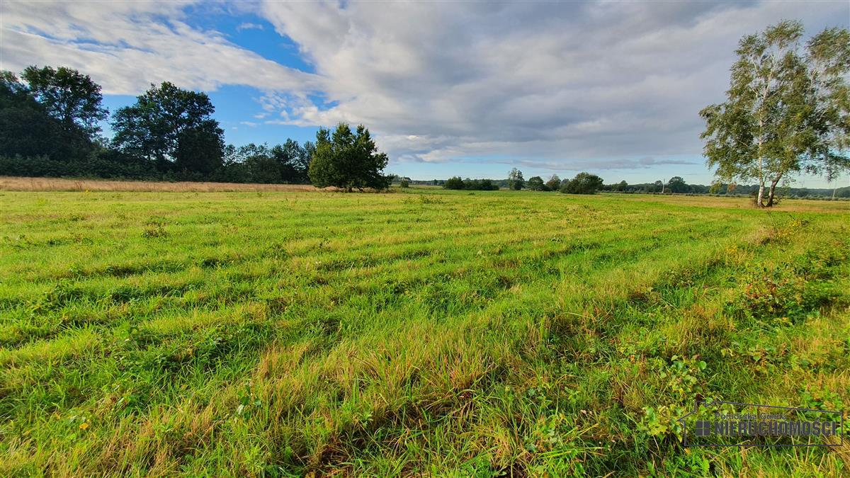 Sprzedaż Działka budowlana Kościernica