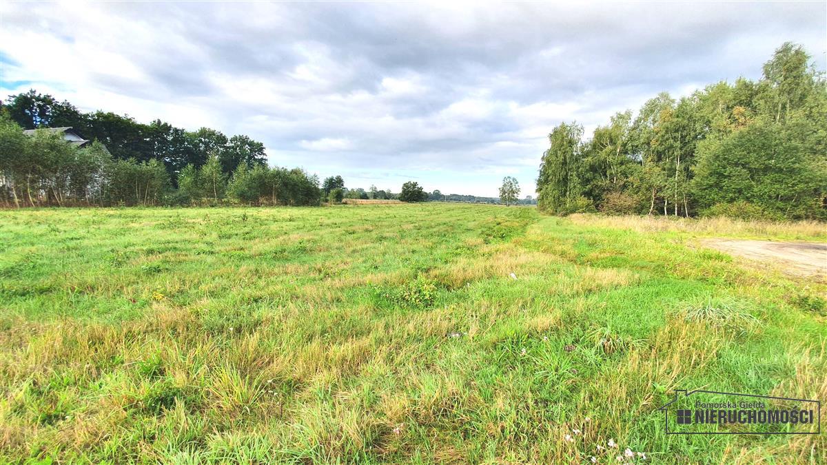 Sprzedaż Działka budowlana Kościernica