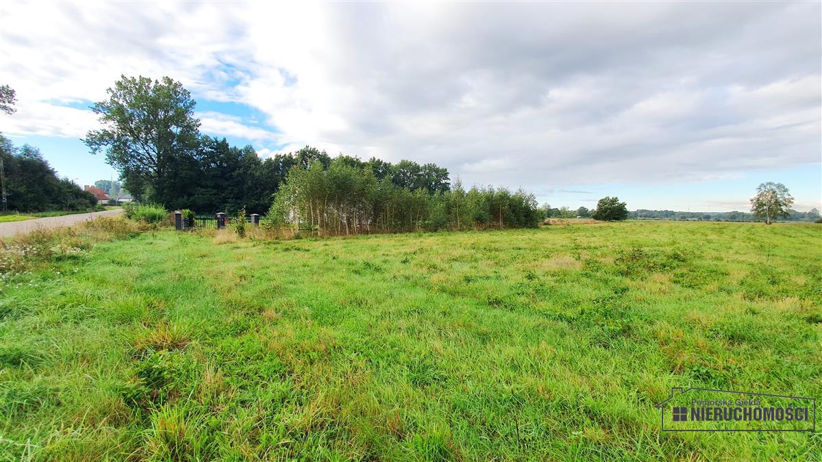 Sprzedaż Działka budowlana Kościernica