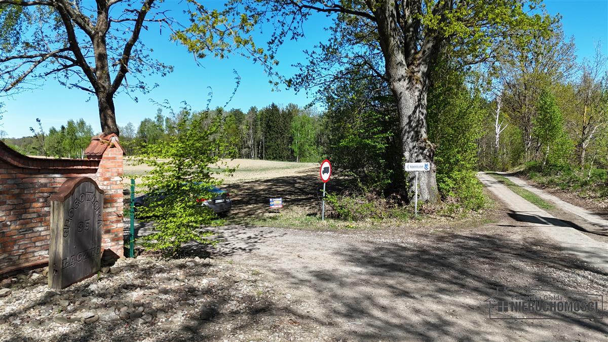 Sprzedaż Działka siedliskowa Łączno