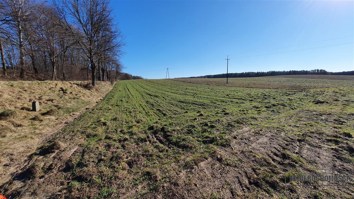 Sprzedaż Działka budowlana Zaspy Małe