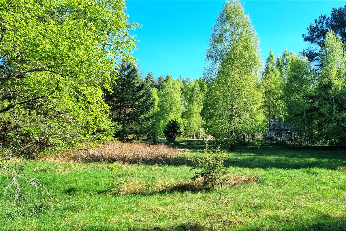 Sprzedaż Działka budowlana Gwda Wielka