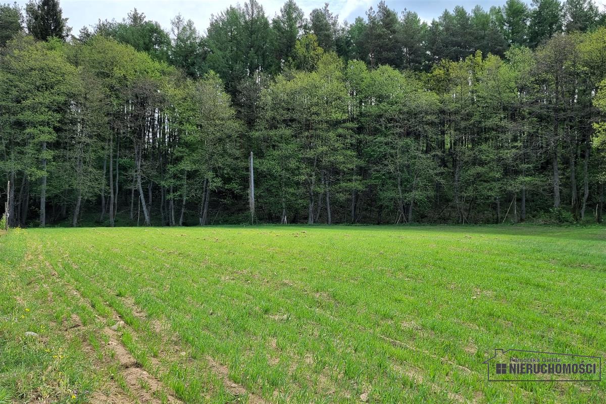 Sprzedaż Działka budowlana Radomyśl