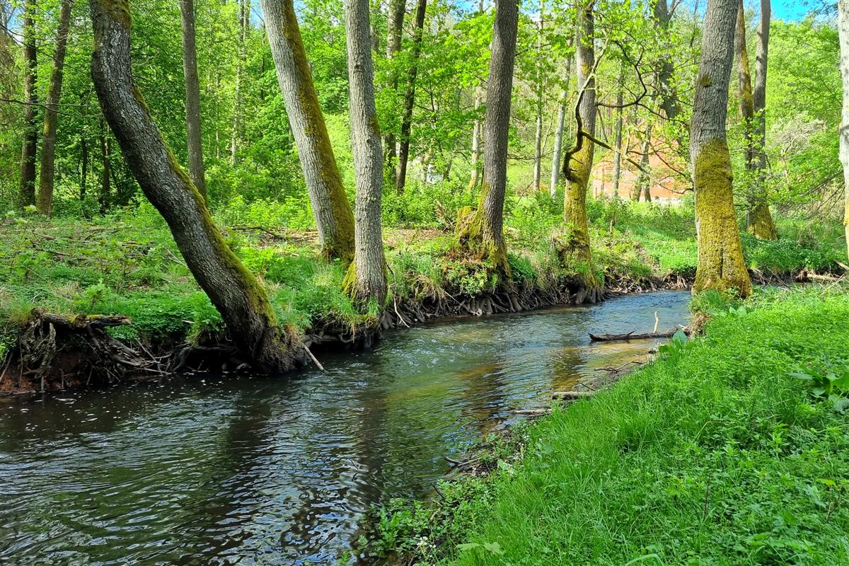 Sprzedaż Działka budowlana Radomyśl