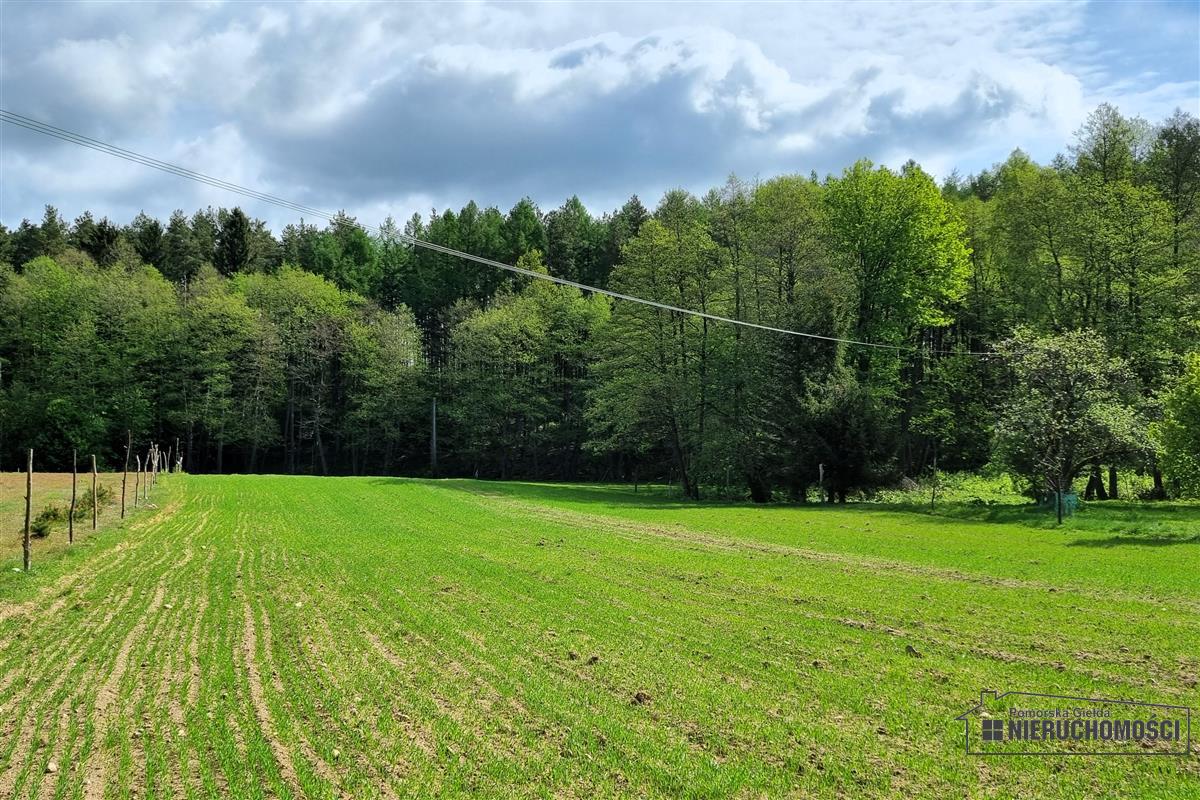 Sprzedaż Działka budowlana Radomyśl