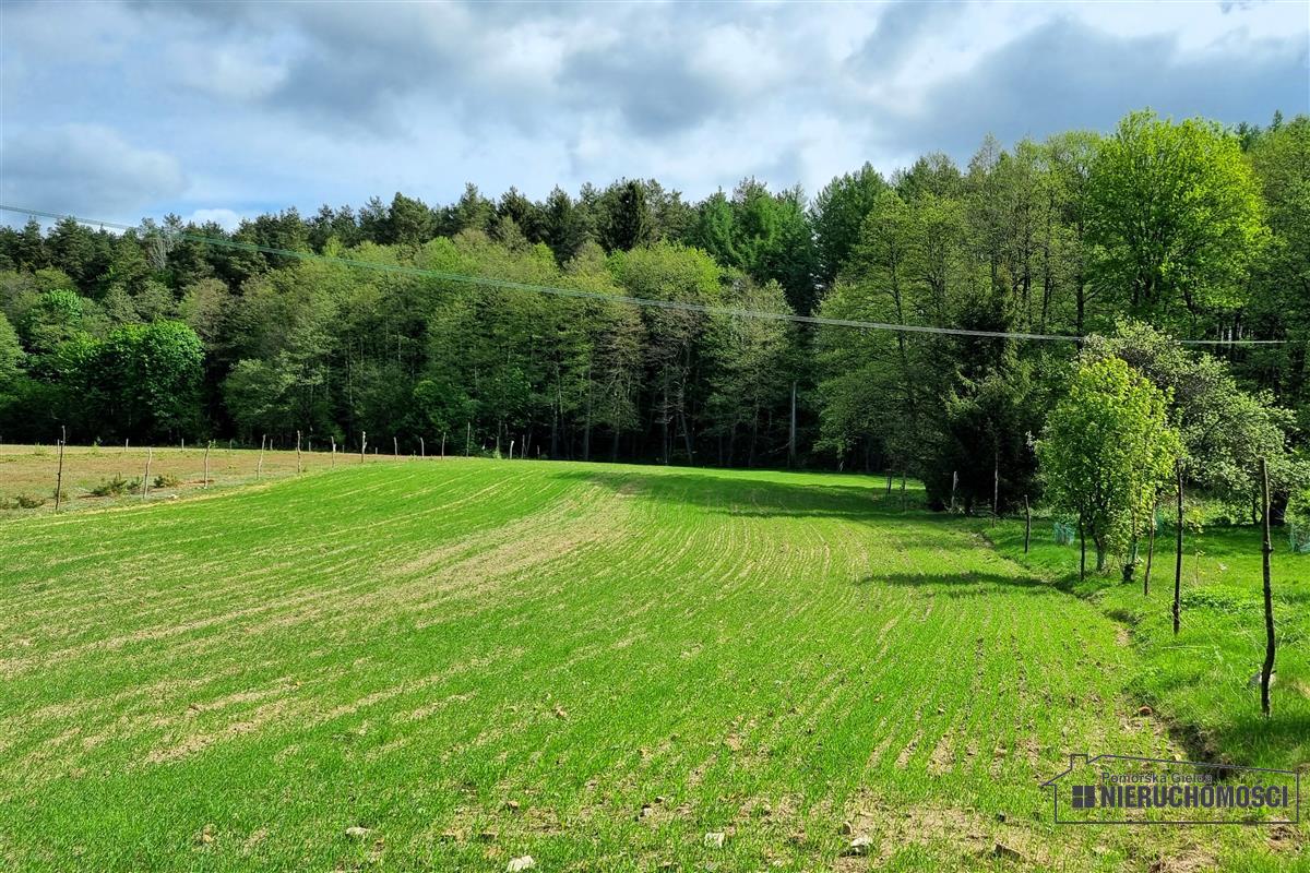 Sprzedaż Działka budowlana Radomyśl