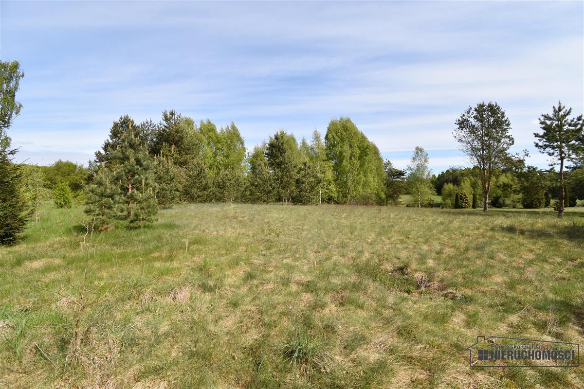 Sprzedaż Działka budowlana Wierzchowo