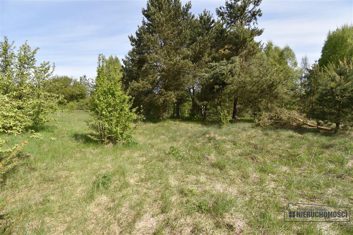 Sprzedaż Działka budowlana Wierzchowo