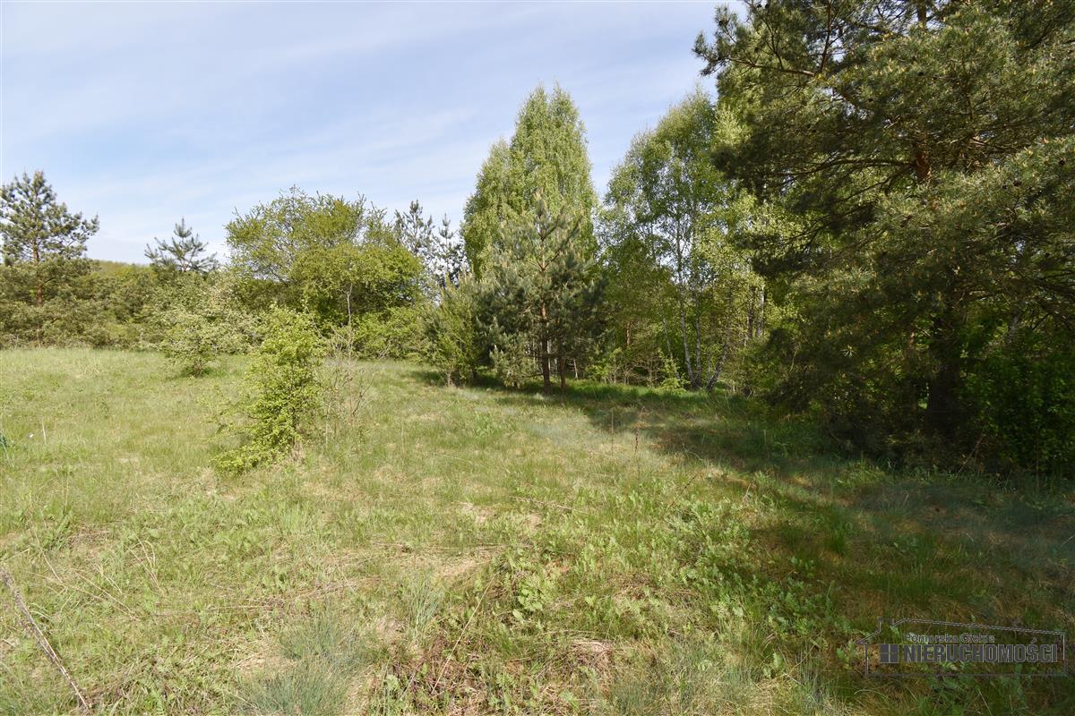 Sprzedaż Działka budowlana Wierzchowo