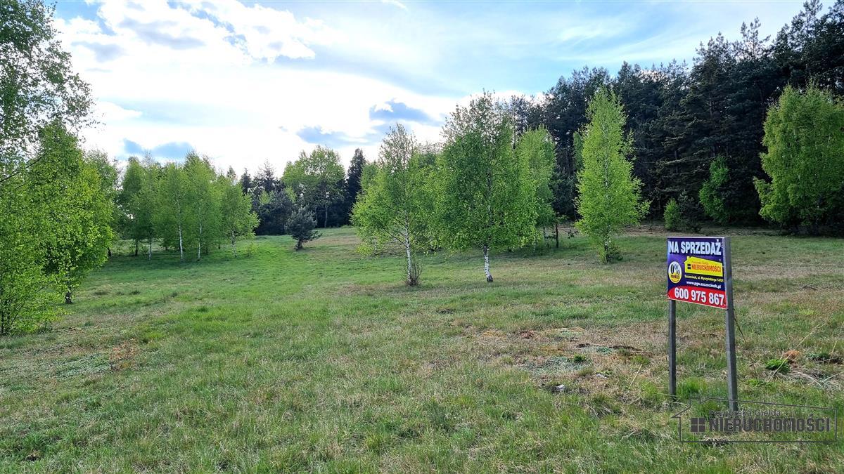 Sprzedaż Działka budowlana Drężno