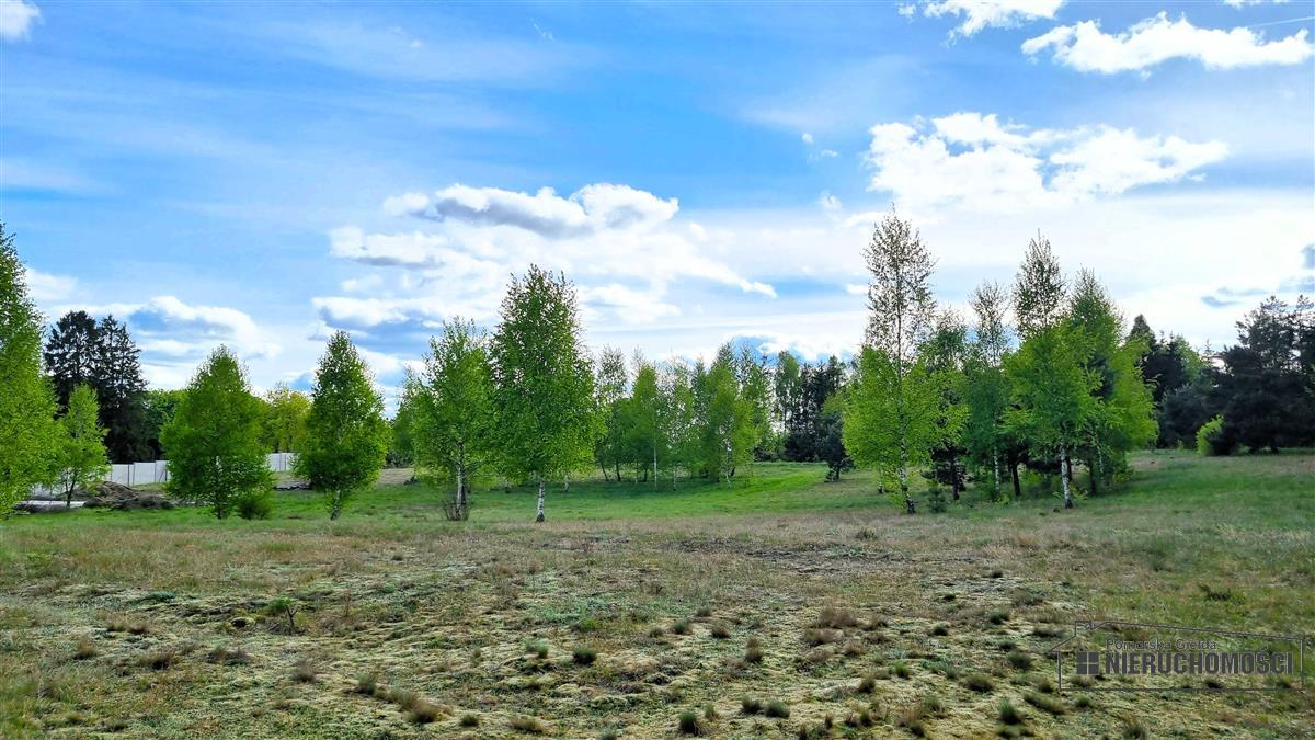 Sprzedaż Działka budowlana Drężno