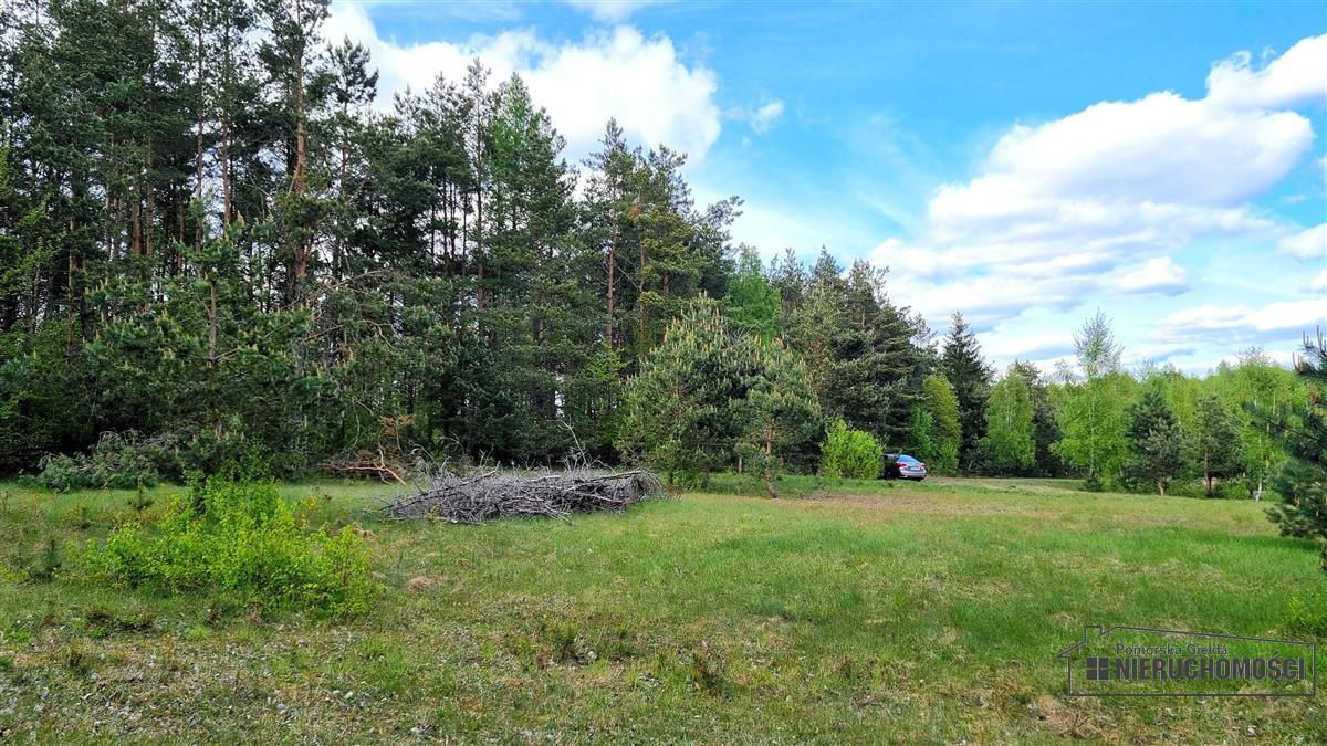 Sprzedaż Działka budowlana Drężno