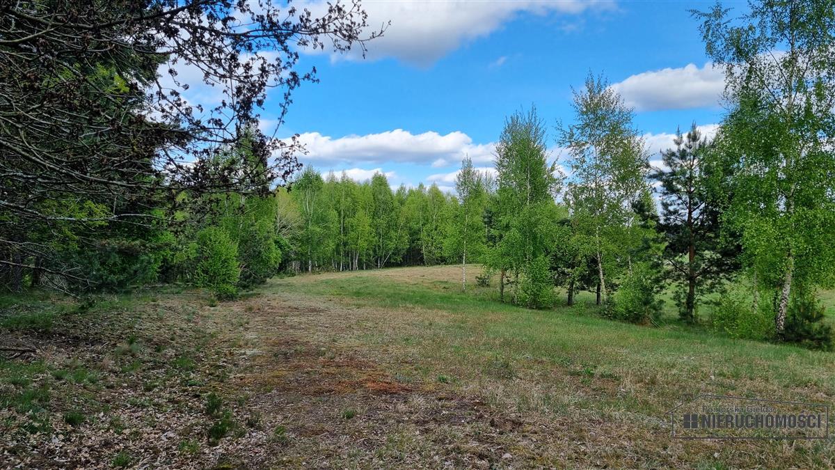 Sprzedaż Działka budowlana Drężno