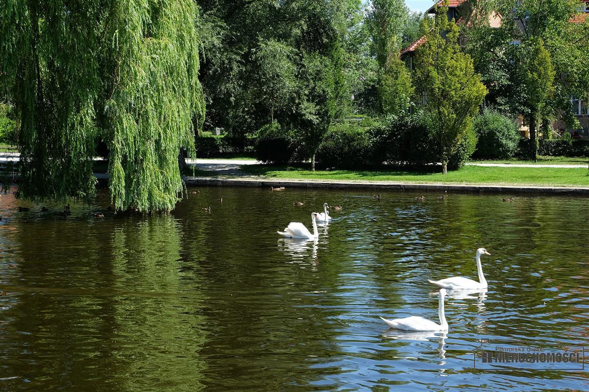 Sprzedaż Mieszkanie Szczecinek
