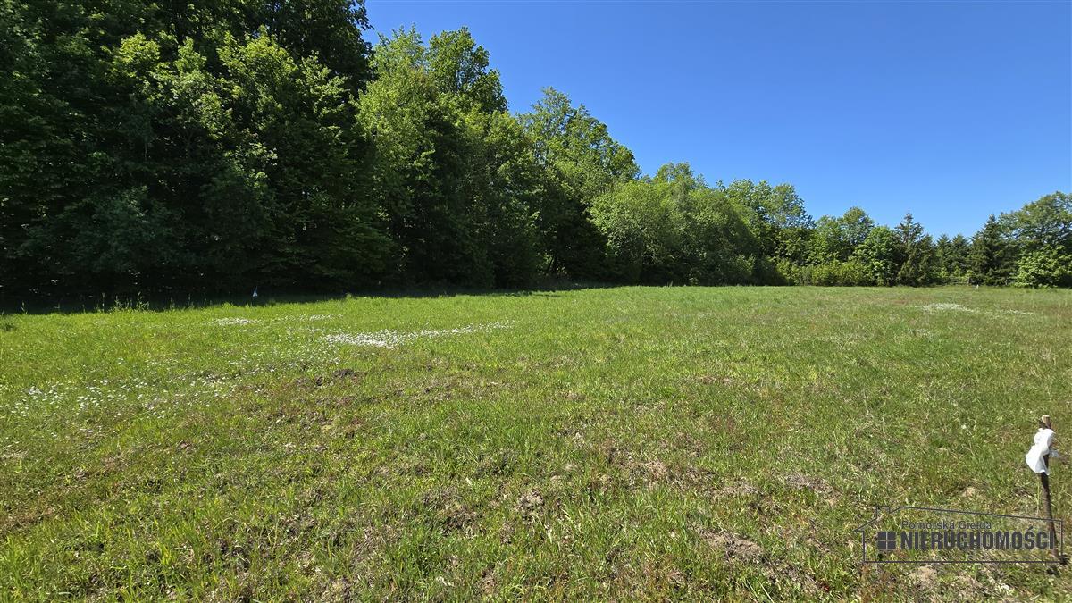 Sprzedaż Działka budowlana Otrzep
