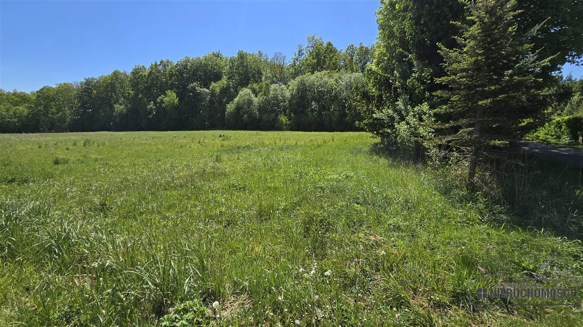 Sprzedaż Działka budowlana Otrzep