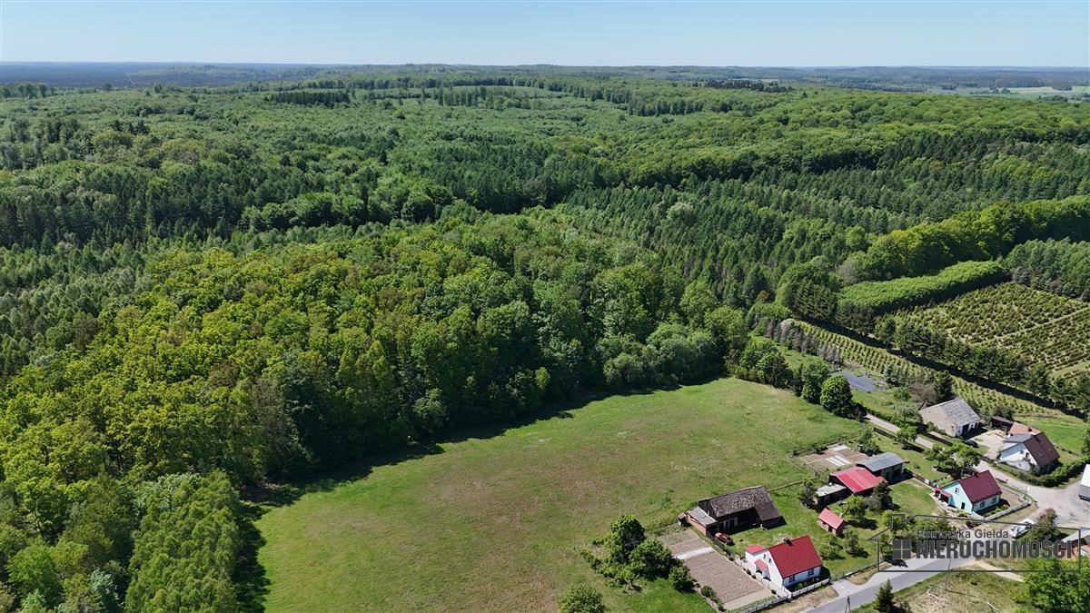 Sprzedaż Działka budowlana Otrzep