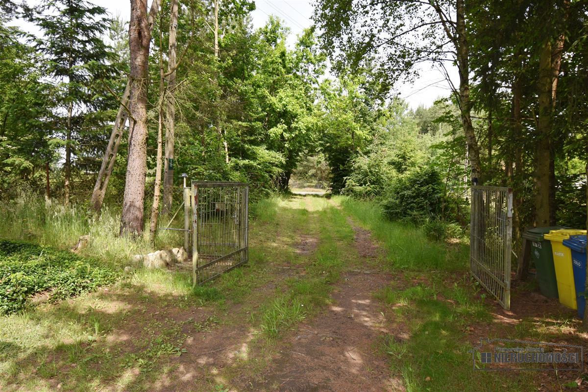 Sprzedaż Dom Wierzchowo