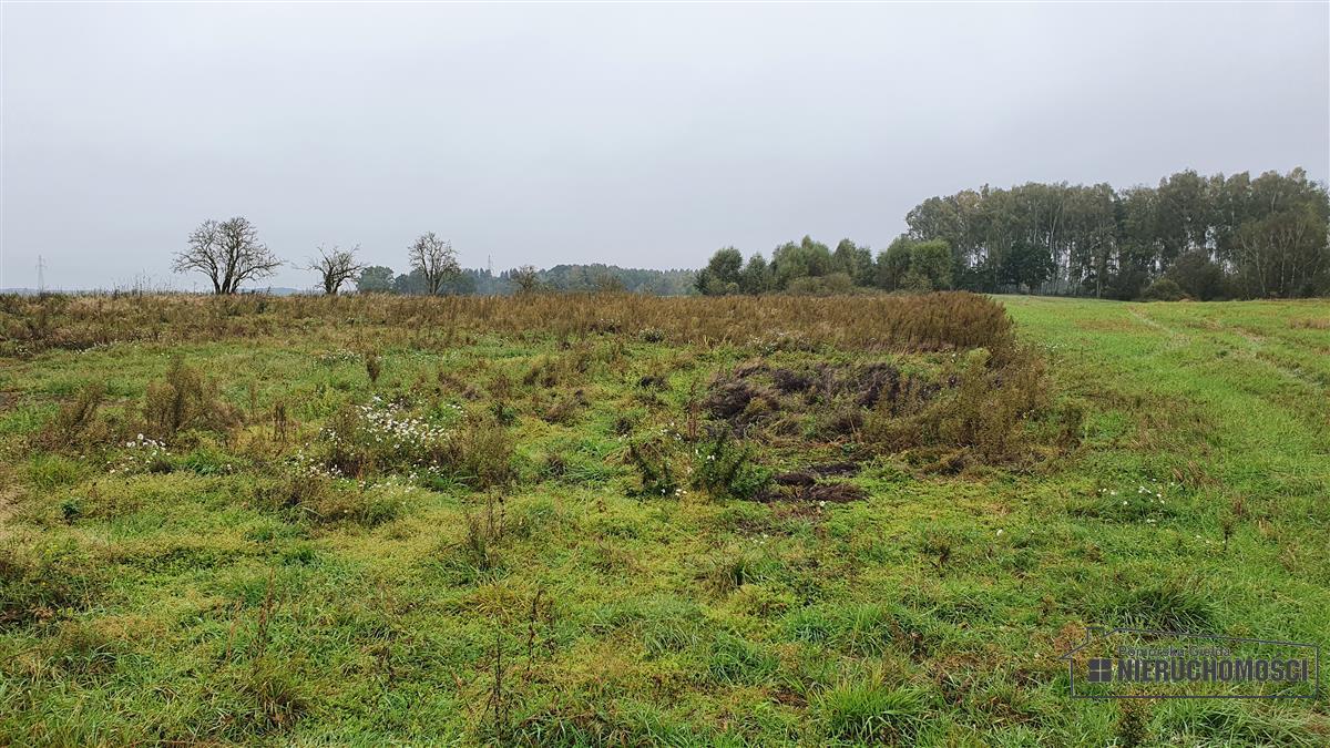 Sprzedaż Działka budowlana Tucze