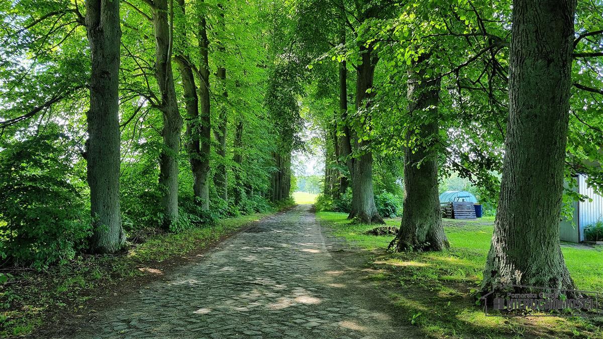 Sprzedaż Piętro domu Żółtnica