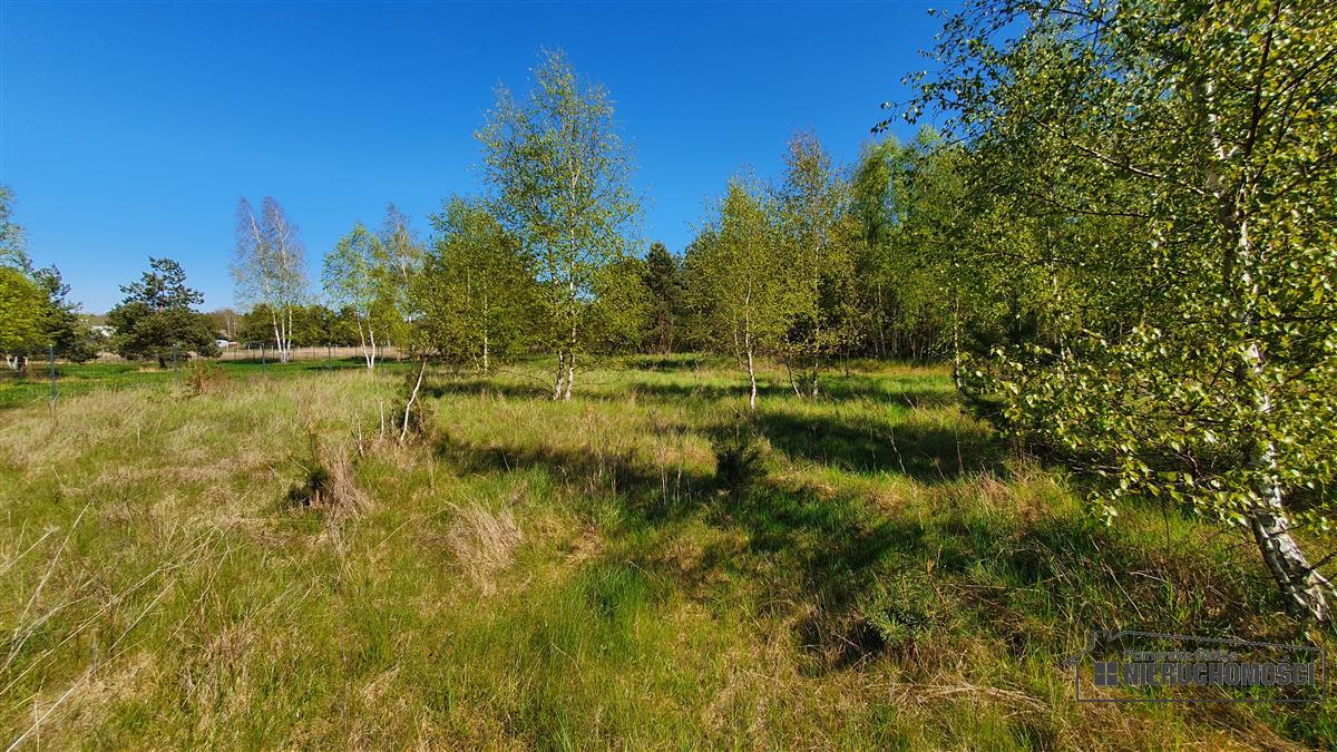 Sprzedaż Działka budowlana Rakowo