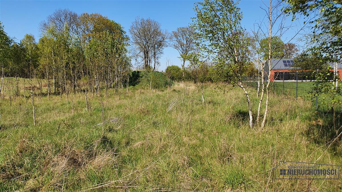 Sprzedaż Działka budowlana Rakowo