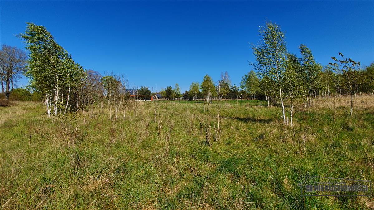 Sprzedaż Działka budowlana Rakowo