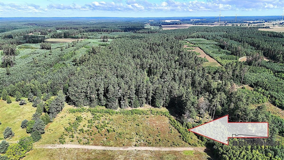 Sprzedaż Działka budowlana Dołgie