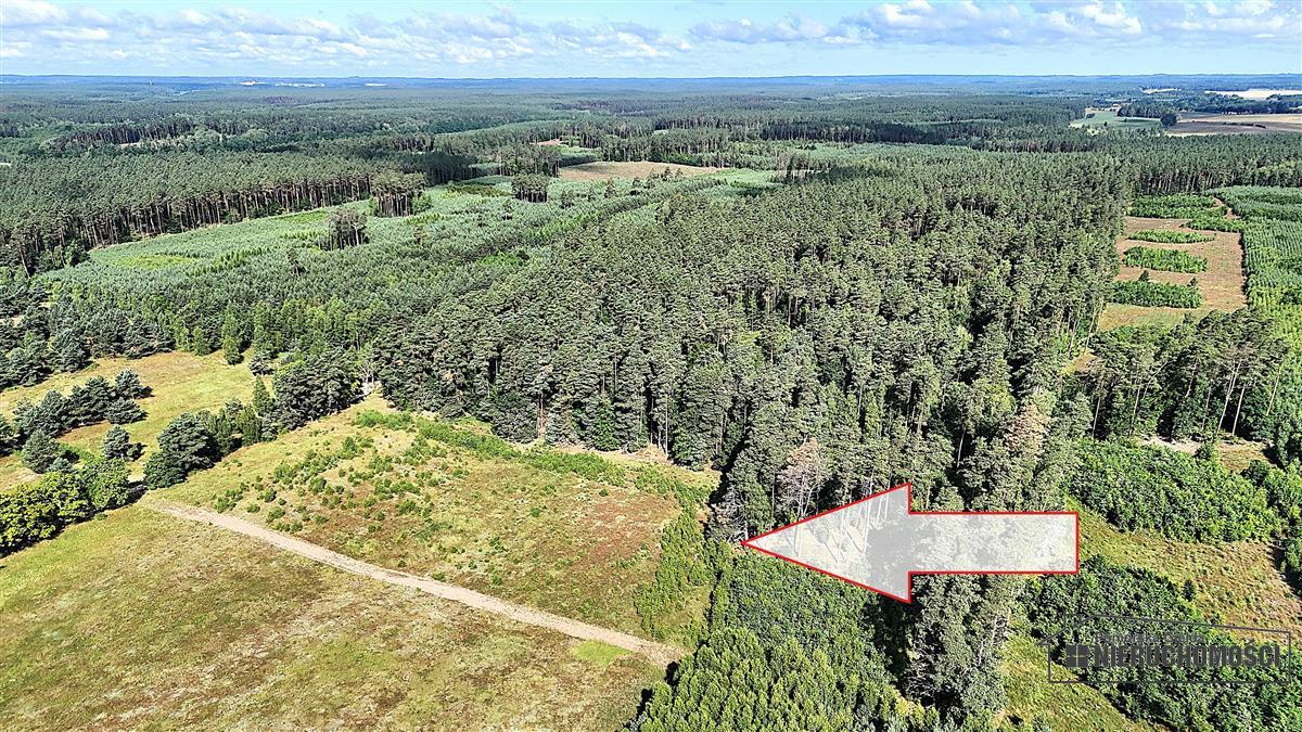 Sprzedaż Działka budowlana Dołgie