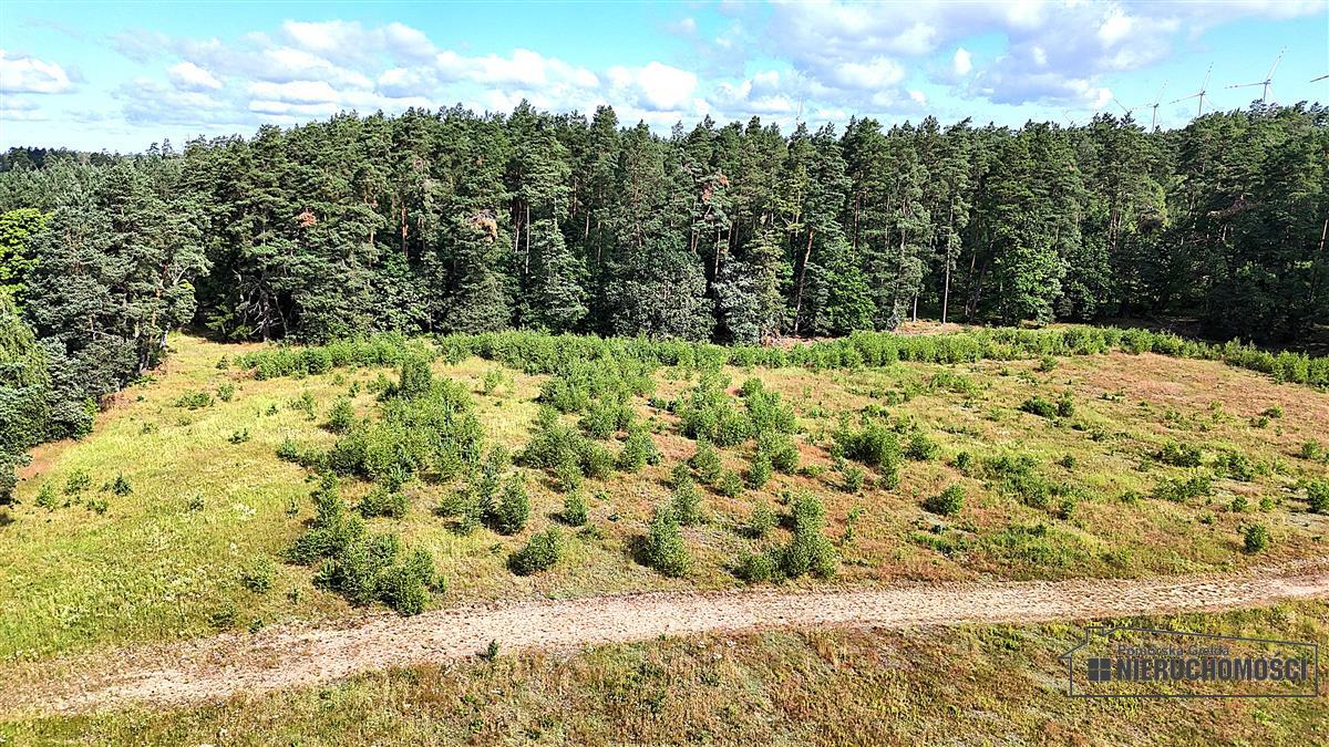 Sprzedaż Działka budowlana Dołgie