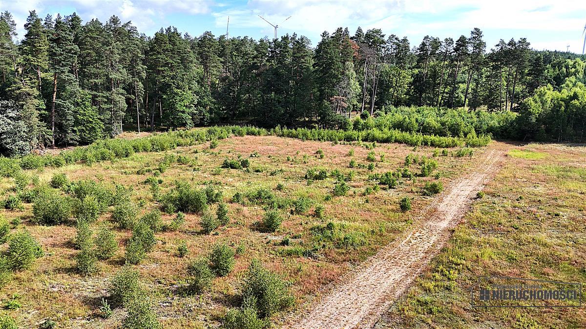 Sprzedaż Działka budowlana Dołgie