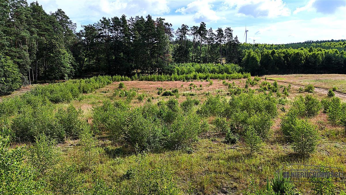 Sprzedaż Działka budowlana Dołgie