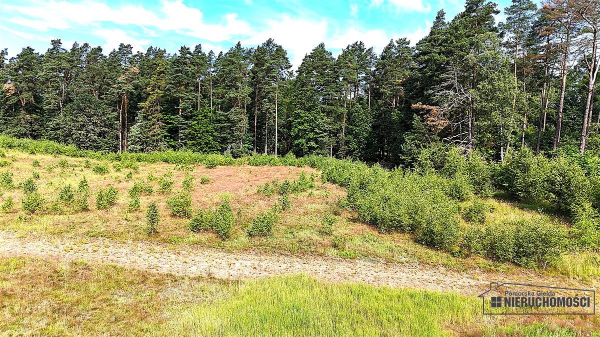 Sprzedaż Działka budowlana Dołgie