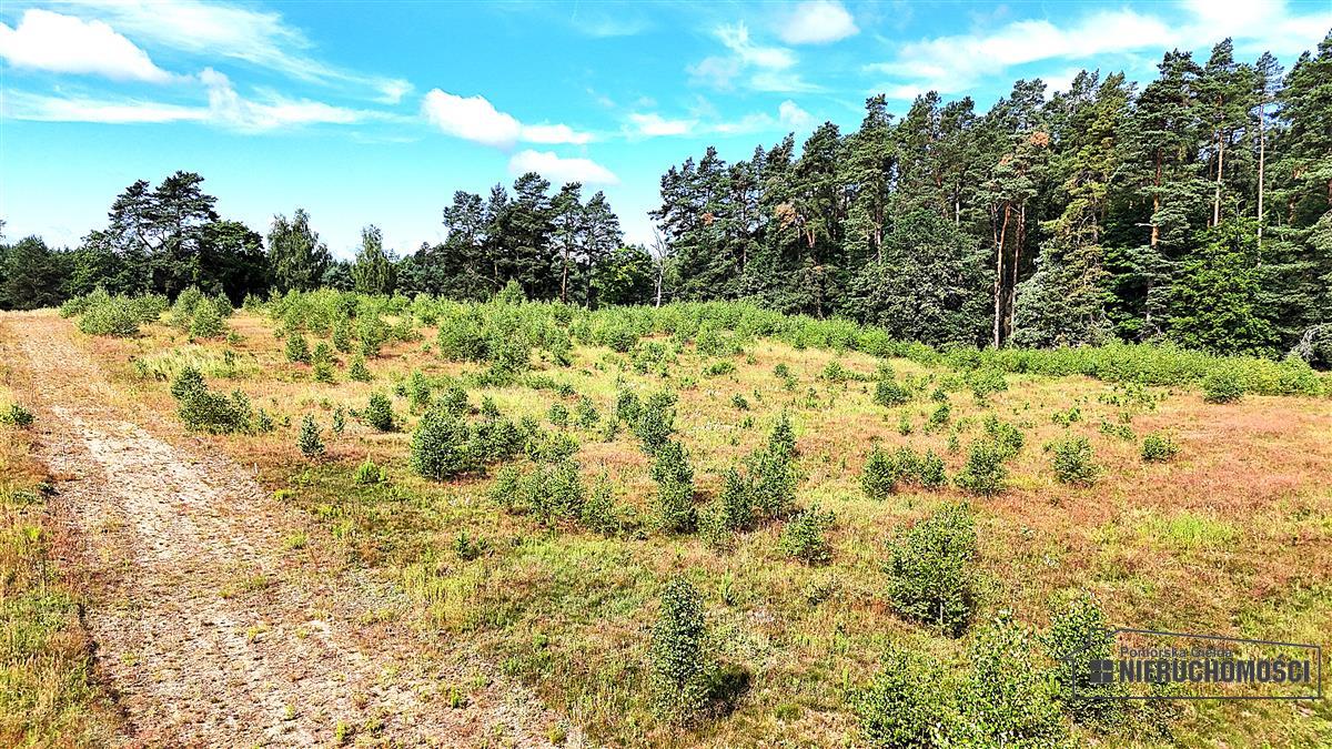 Sprzedaż Działka budowlana Dołgie