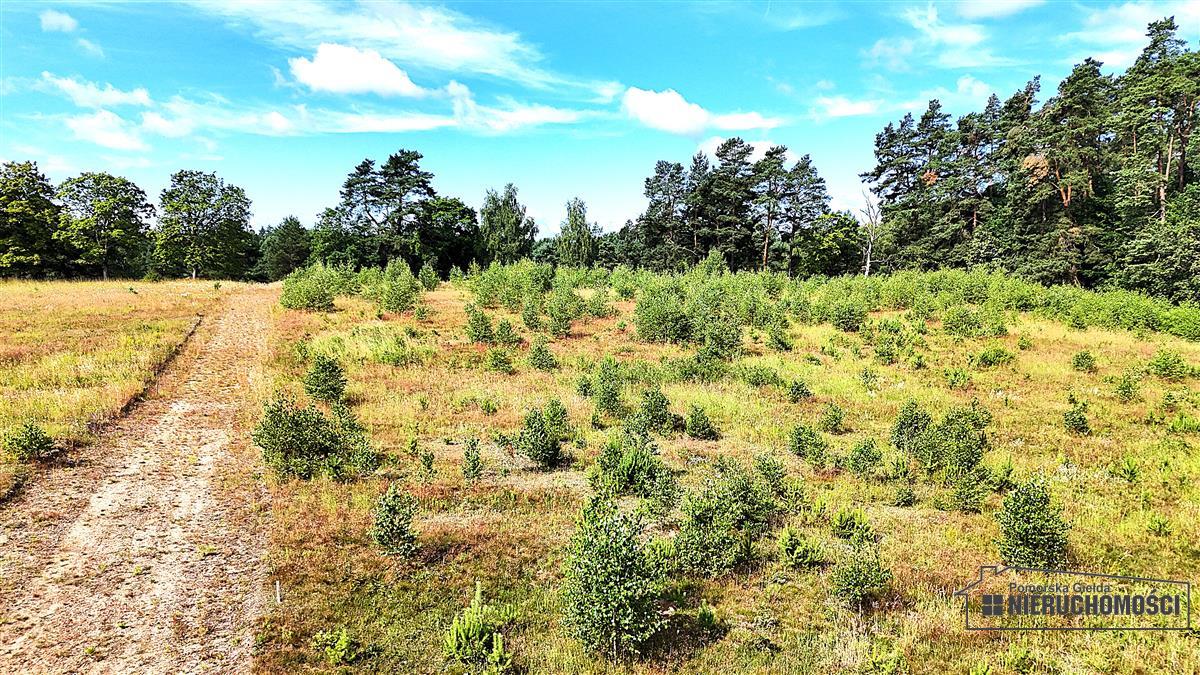Sprzedaż Działka budowlana Dołgie