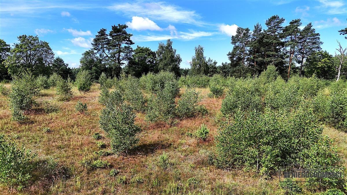 Sprzedaż Działka budowlana Dołgie