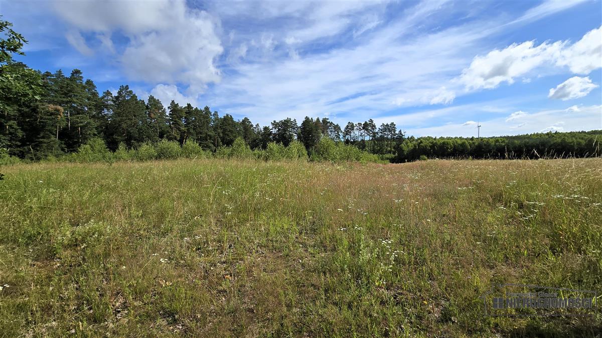 Sprzedaż Działka budowlana Dołgie