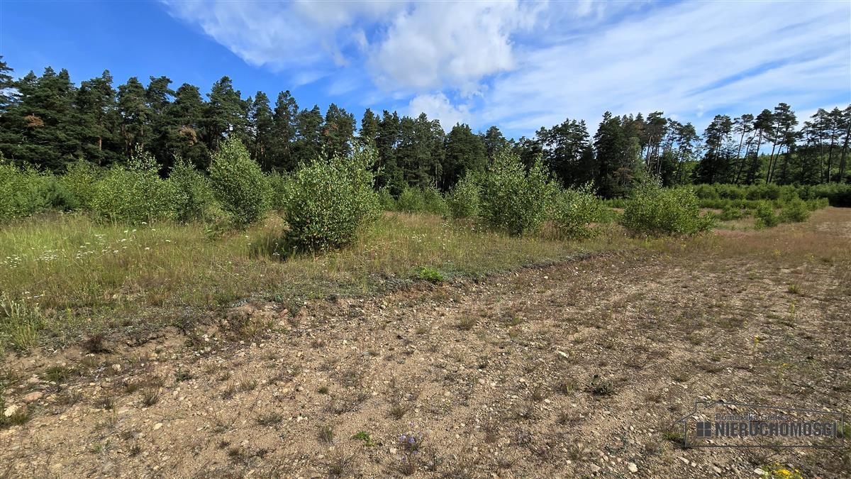 Sprzedaż Działka budowlana Dołgie