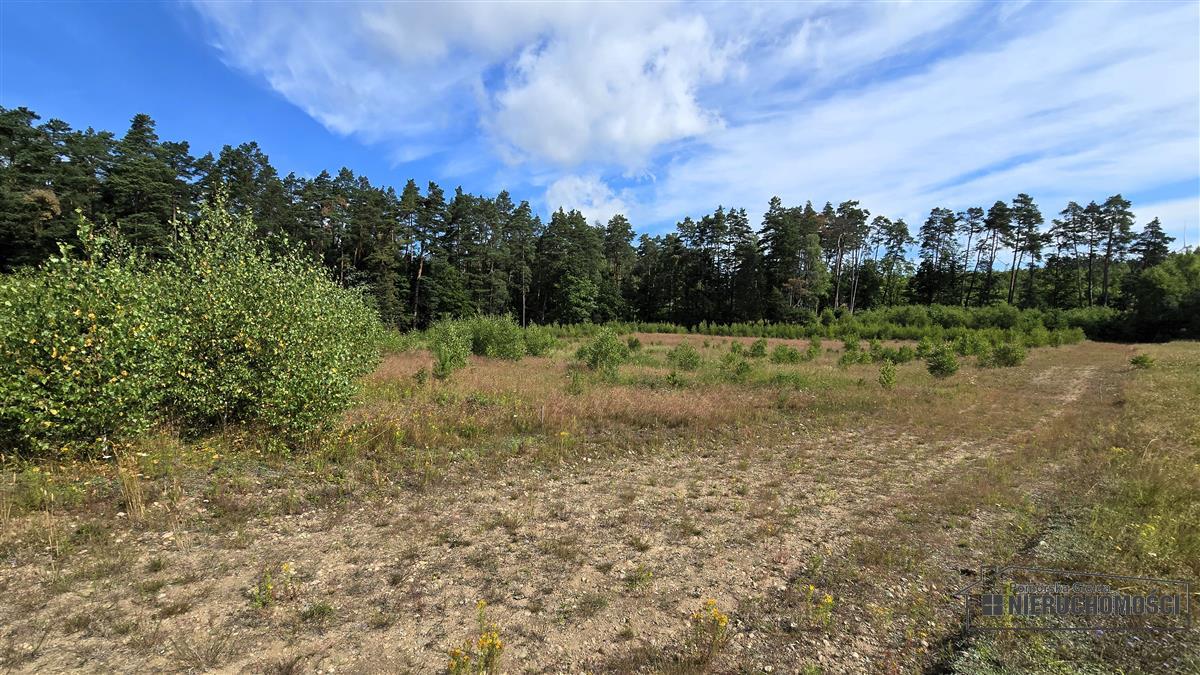 Sprzedaż Działka budowlana Dołgie